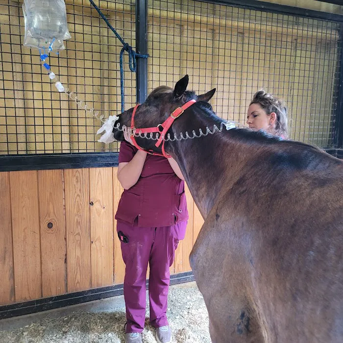 Sulphur River Veterinary Clinic Picture 8