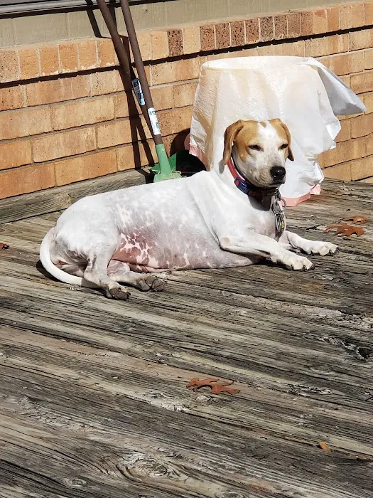 Lucas Veterinary Hospital Picture 1