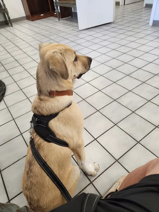 Lucas Veterinary Hospital Picture 2