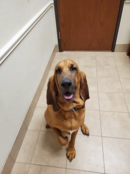 Stacy Road Pet Hospital Picture 9