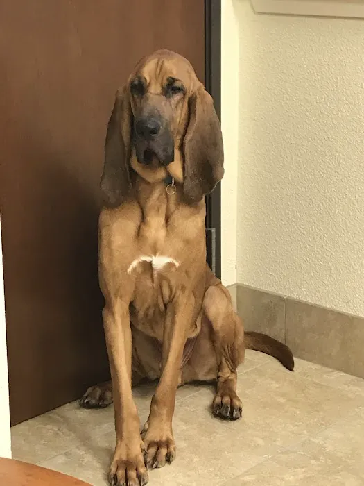 Stacy Road Pet Hospital Picture 10