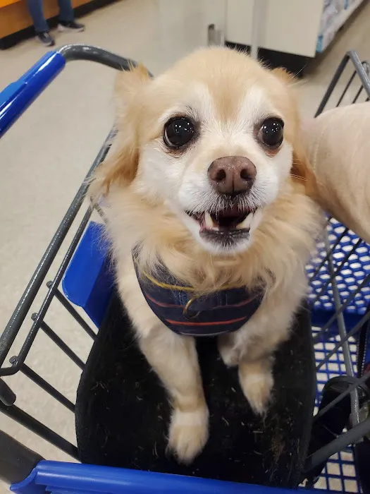 Banfield Pet Hospital Picture 8