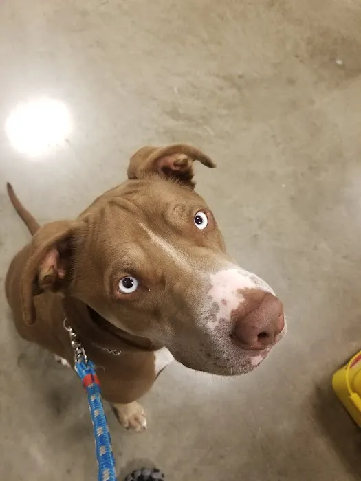 Banfield Pet Hospital Picture 9