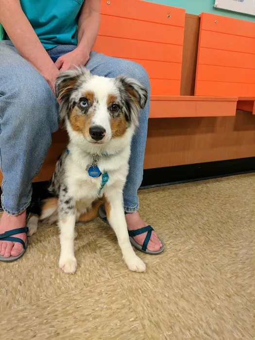 Banfield Pet Hospital Picture 6