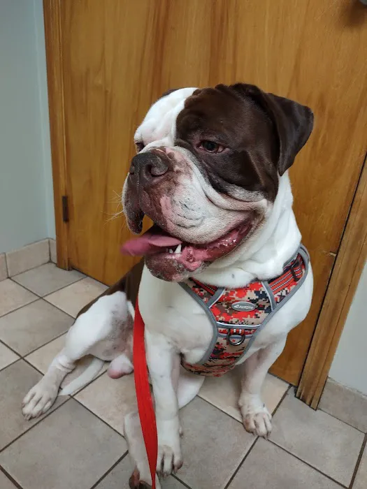 Koprowski Veterinary Clinic Picture 1