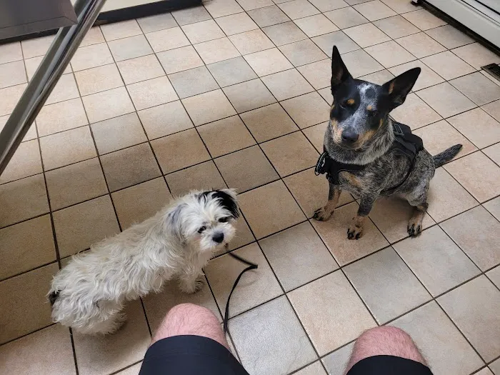 Koprowski Veterinary Clinic Picture 5