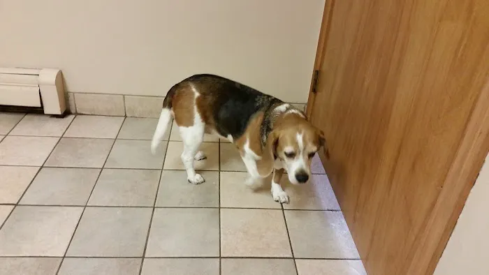 Koprowski Veterinary Clinic Picture 9