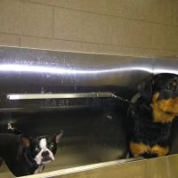 Davison Veterinary Hospital: Mc Fall Susan G DVM ico