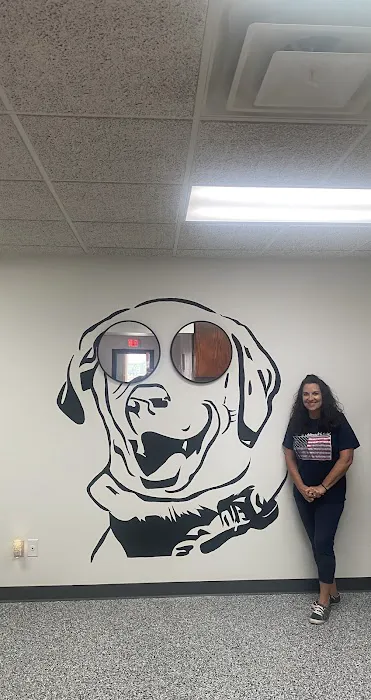 Pet Care Plus Picture 4