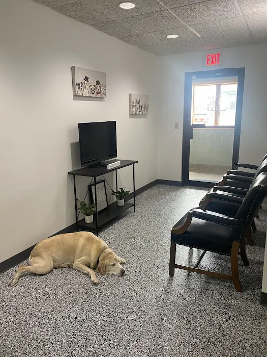Pet Care Plus Picture 5