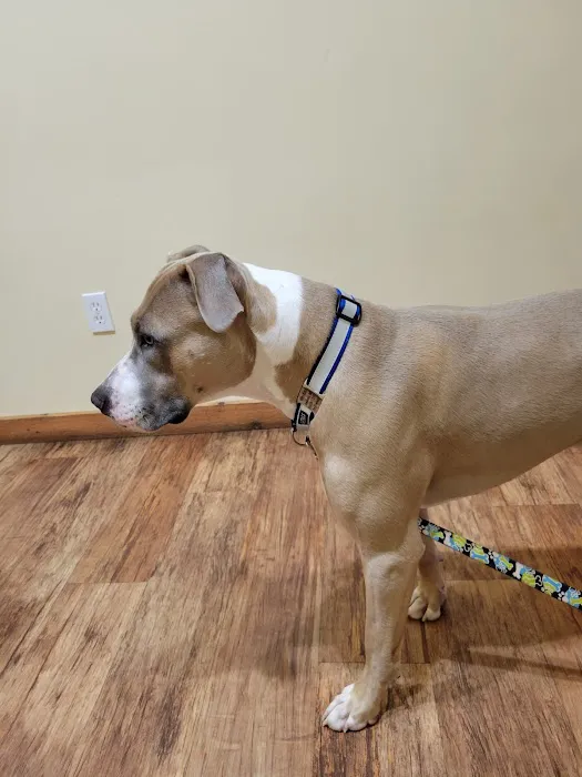 Childs Veterinary Clinic Picture 4