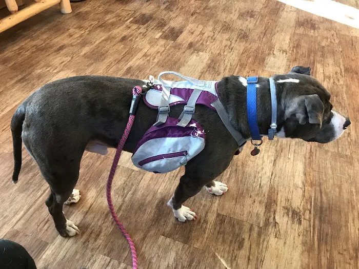 Childs Veterinary Clinic Picture 3