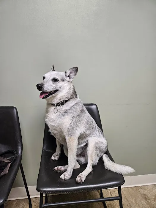 Dunckel Veterinary Hospital Picture 8