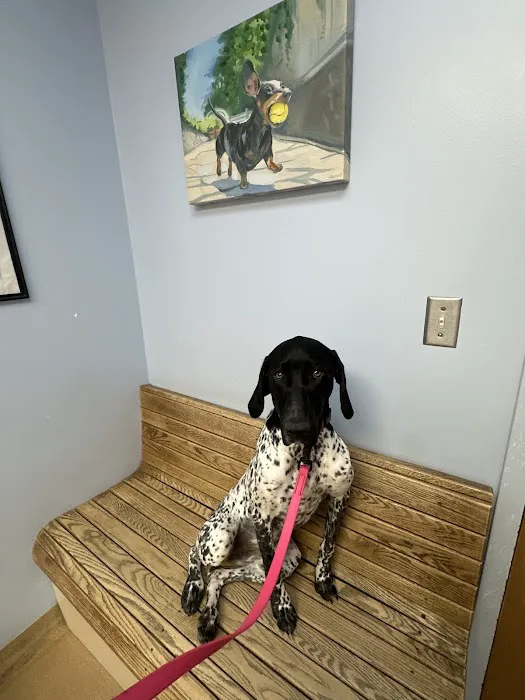 Dunckel Veterinary Hospital Picture 9