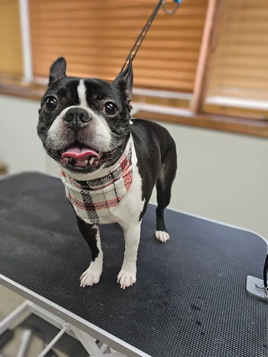 Pierson Pet Hospital Picture 8