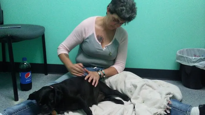 Town & Country Animal Care Inc Picture 7