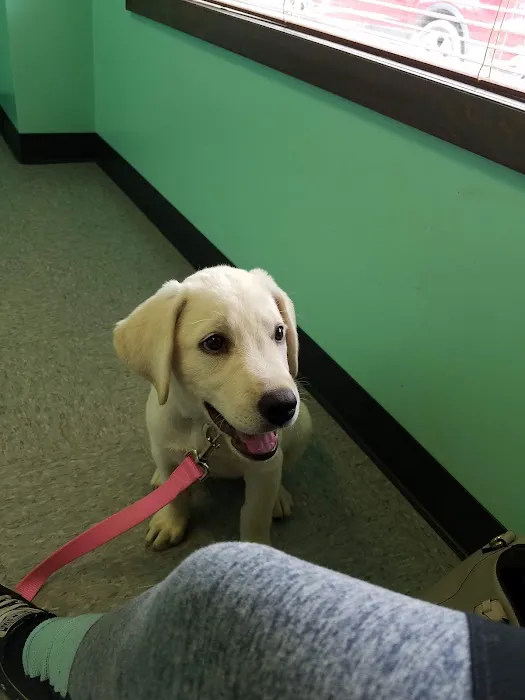 Town & Country Animal Care Inc Picture 8