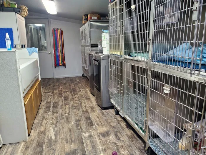 Mayville Veterinary Clinic Picture 9