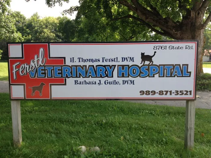 Ferstl Veterinary Hospital Picture 1