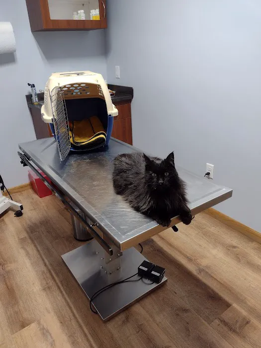 Ferstl Veterinary Hospital Picture 9
