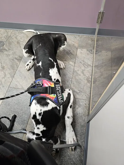 Four Seasons Veterinary Services Picture 2