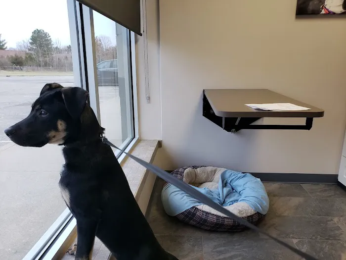 Four Seasons Veterinary Services Picture 1
