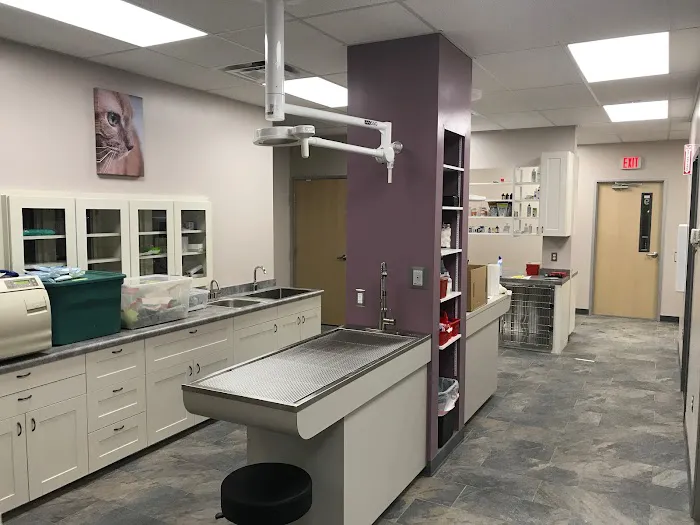 Four Seasons Veterinary Services Picture 10