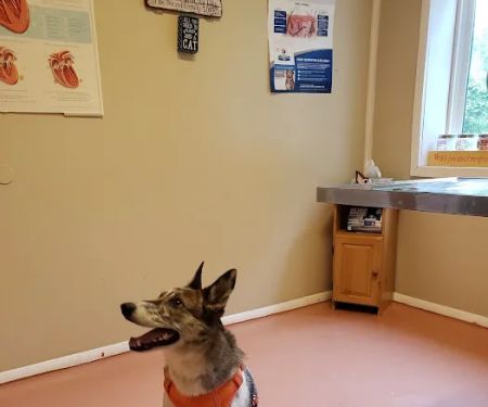 Burtchville Veterinary Clinic