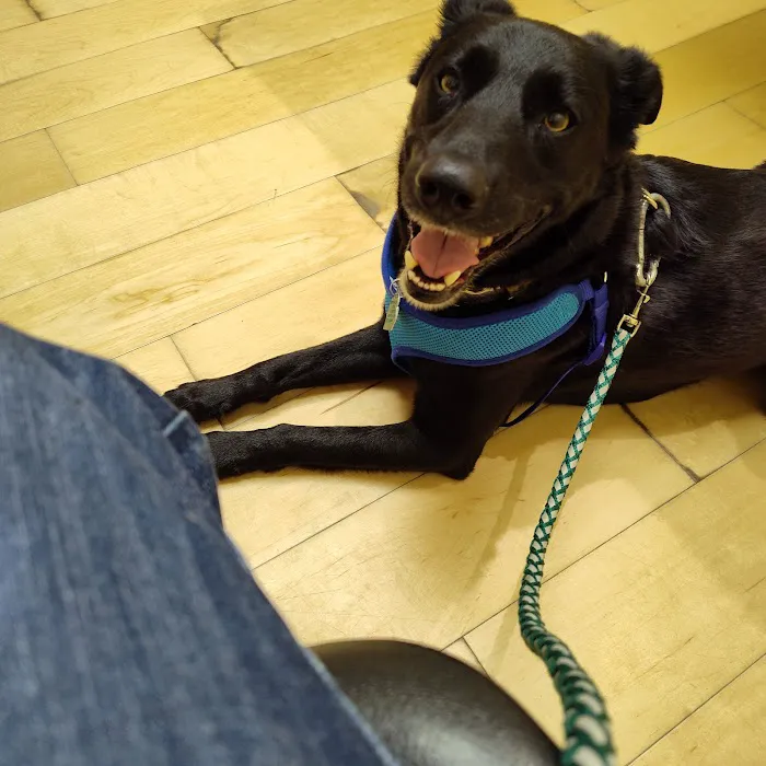 A Town & Country Animal Clinic Picture 5