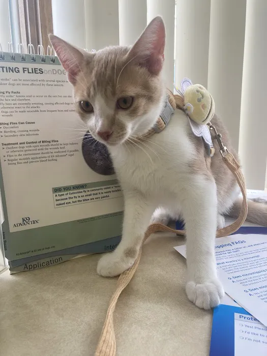 A Town & Country Animal Clinic Picture 10