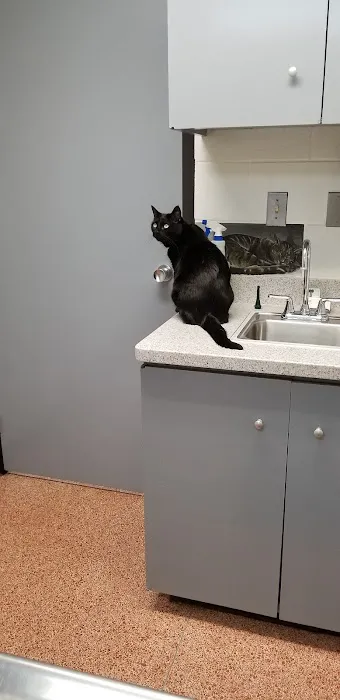 Grand Blanc Veterinary Hospital Picture 2