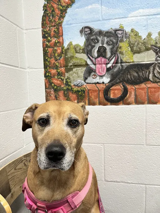 Grand Blanc Veterinary Hospital Picture 9