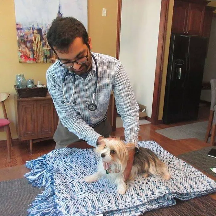 Personalized Veterinary : Behavior & Rehab Picture 6