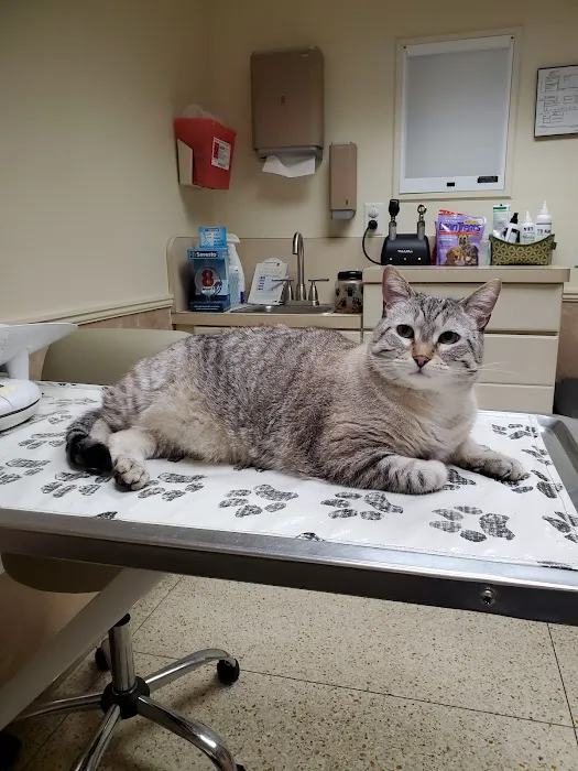 Fenton Veterinary Clinic LLC Picture 6