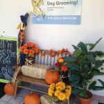 Pointe Animal Hospital