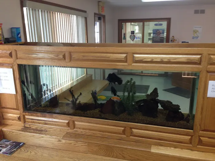 Pointe Animal Hospital Picture 6