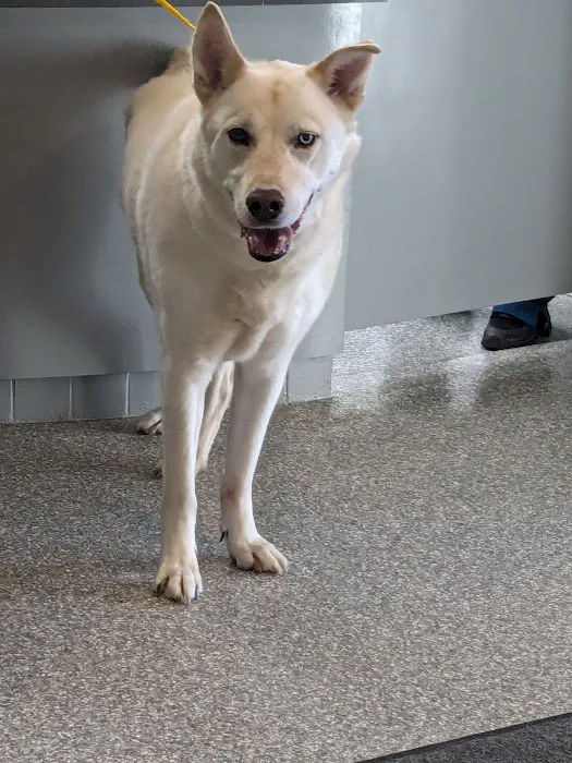 Companion Animal Hospital Picture 9
