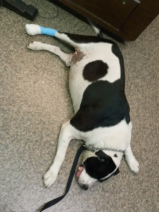 Genesee Veterinary Hospital Picture 5