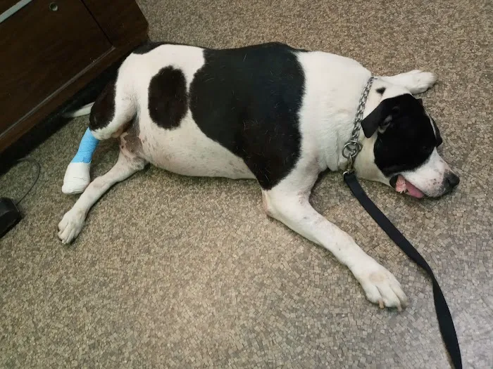 Genesee Veterinary Hospital Picture 8