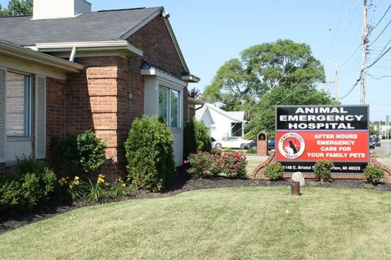 Animal Emergency Hospital Picture 9