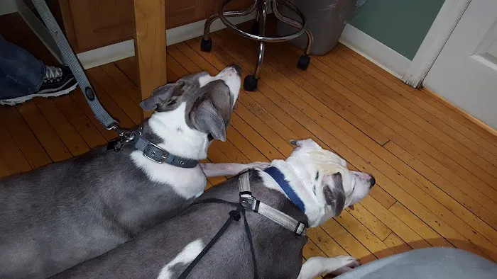 Frontier Veterinary Clinic Picture 2