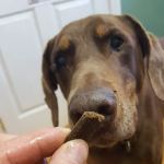 Frontier Veterinary Clinic