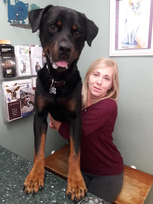 Frontier Veterinary Clinic Picture 8