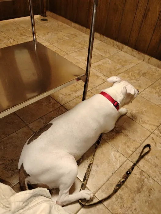Eascor Animal Hospital Picture 2