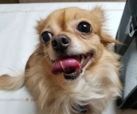 Eascor Animal Hospital