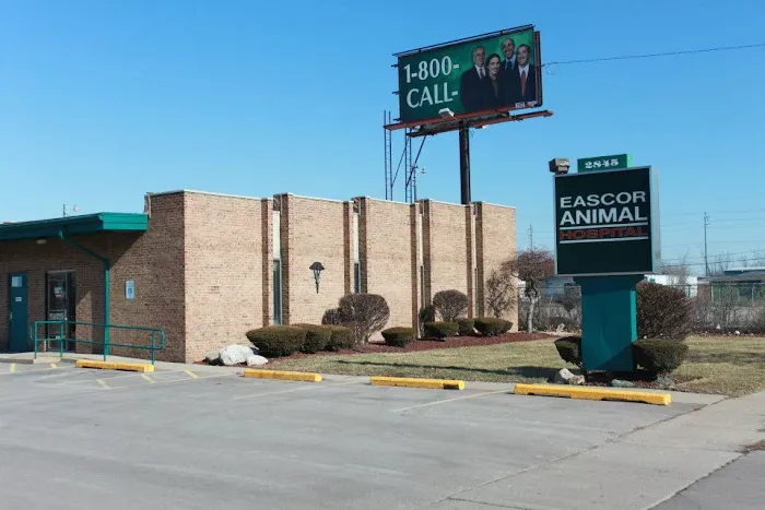 Eascor Animal Hospital Picture 8