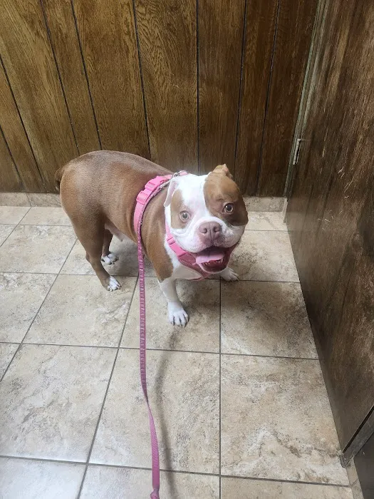 Eascor Animal Hospital Picture 3