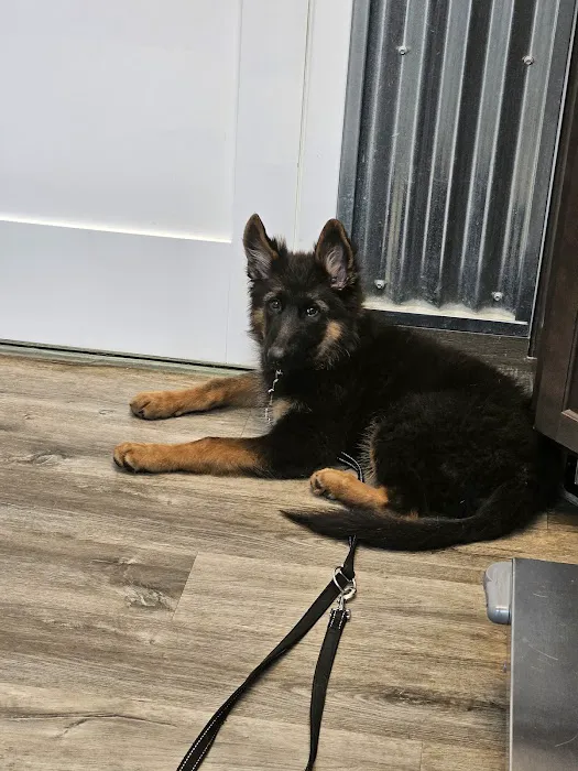 Ore Creek Veterinary Clinic Picture 1