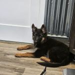 Ore Creek Veterinary Clinic