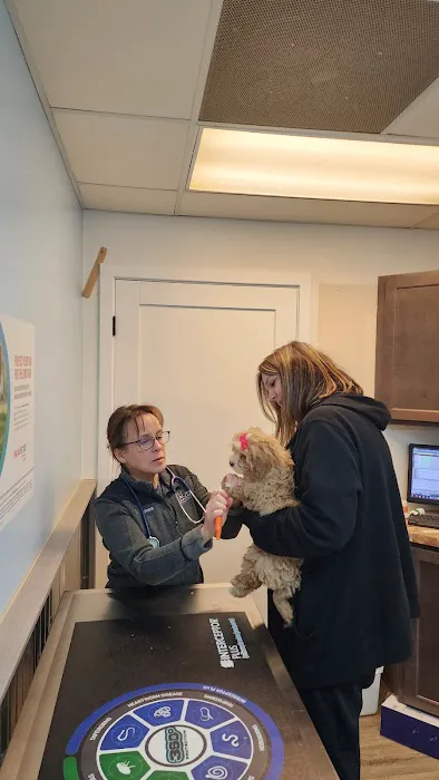 Ore Creek Veterinary Clinic Picture 4